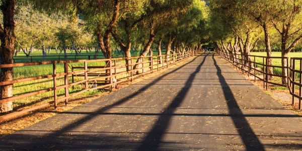 What to Know Before Enrolling in Medicare Advantage